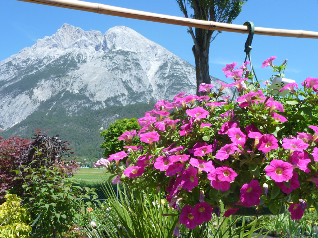 Gartenpflege Tirol: Ein wesentlicher Teil des Lebens eines Gartens