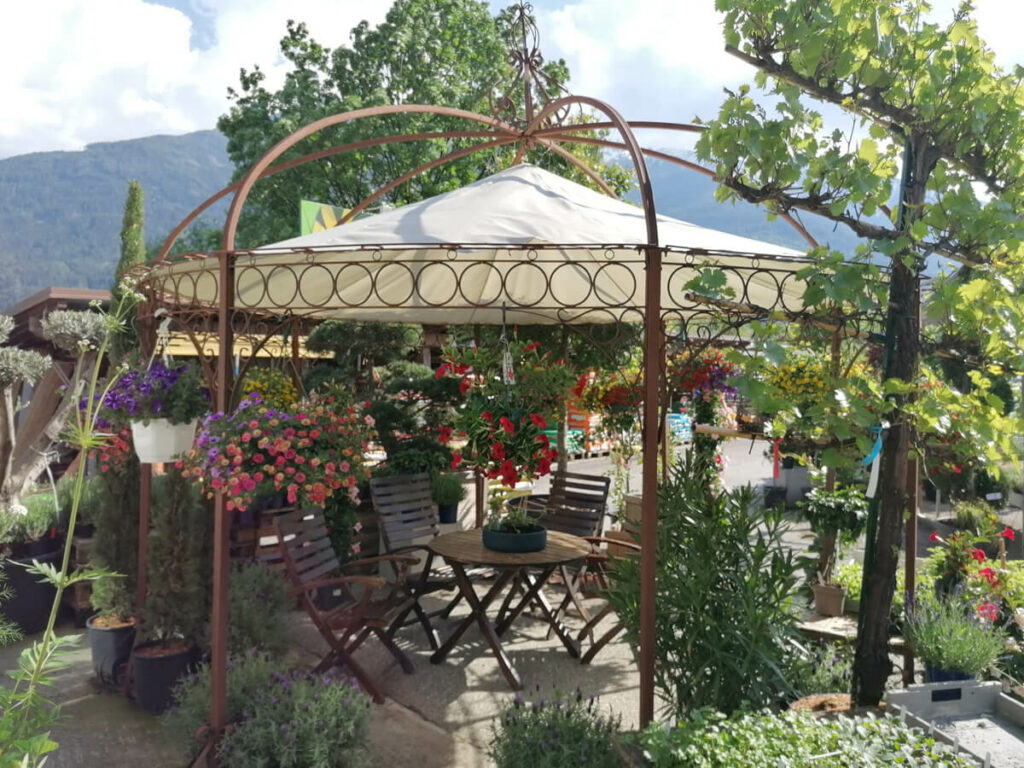 Pflanzenverkauf: Schöne Dekoration für den Garten in Tirol
